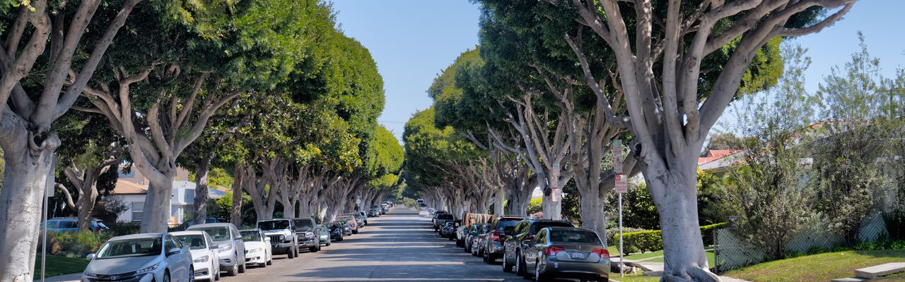 City of Santa Monica - Preferential Parking Permit Application